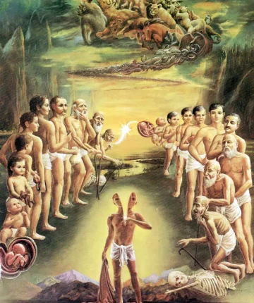 Śrīmad-Bhāgavatam 3.31.43-44
