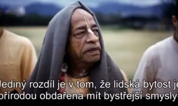Prednáška