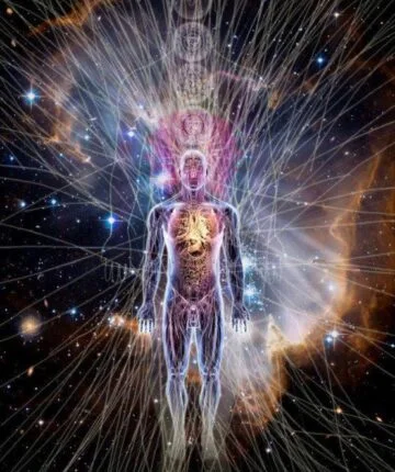 Bhagavad-Gītā 3.29