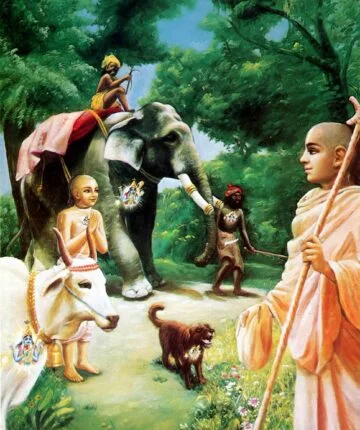 Bhagavad-Gītā 5.18
