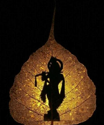 Śrīmad-Bhāgavatam 10.49.29